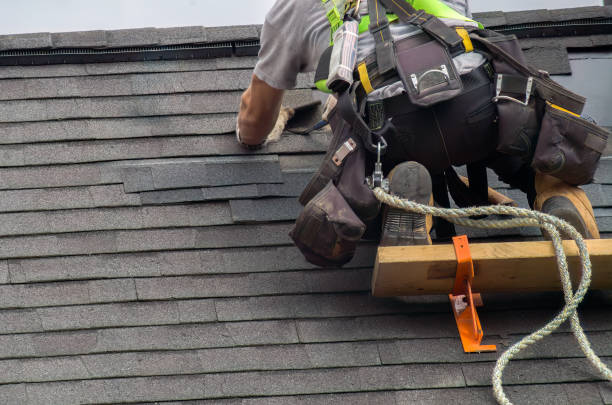 Best Storm Damage Roof Repair  in Ball Pond, CT