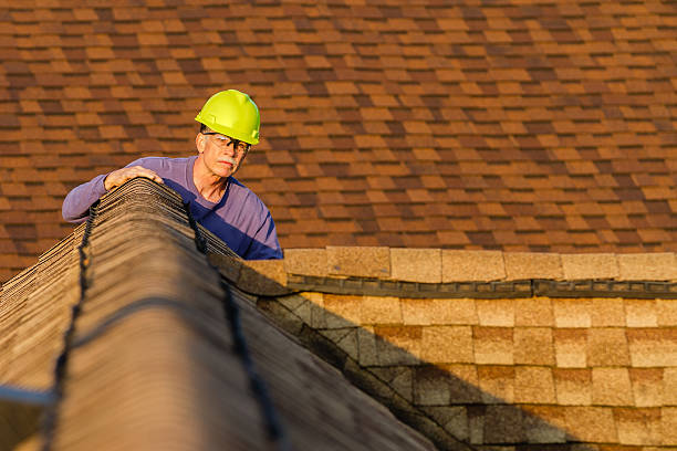 Best Roof Repair Services  in Ball Pond, CT