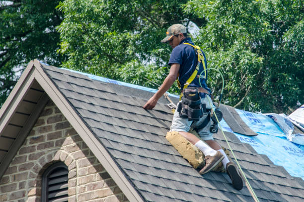 Professional Roofing Contractor in Ball Pond, CT