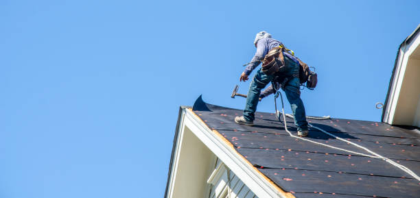 Best Roof Repair Services  in Ball Pond, CT